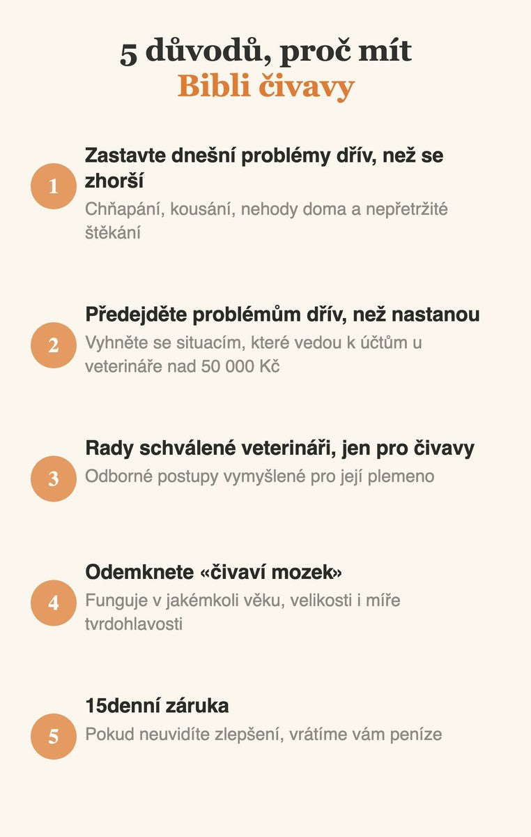5 důvodů, proč mít Bibli čivavy