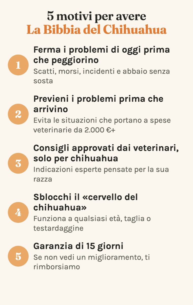 5 motivi per avere La Bibbia del Chihuahua